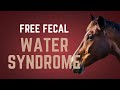 Fecal Water Syndrome In Horses