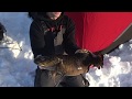 Video Thumbnail for March 10th Burbot Fishing in Northern Sask