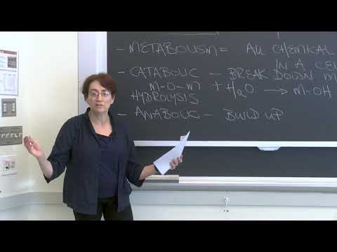 Lecture 2.1: The Cell and How it Works  — Condensation and Hydrolysis