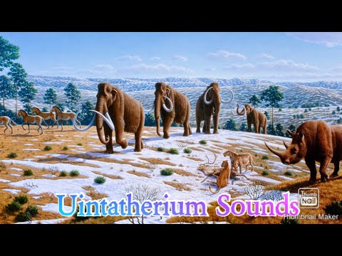 Uintatherium Sounds