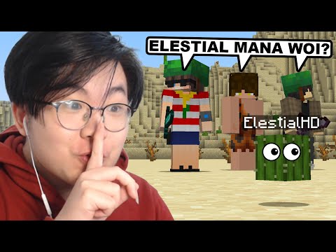 ElestialHD - I play hide and seek, but I can disguise myself as an object in Minecraft