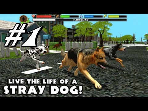 Stray Dog Simulator By Gluten Free Games - Android & iOS - Gameplay Part 1 - YouTube