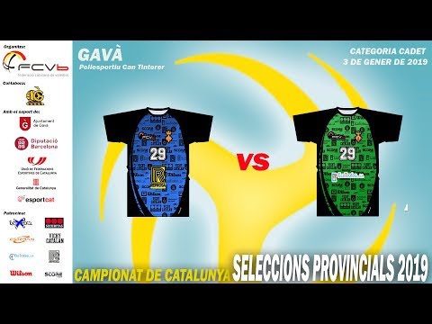 CCSSPP 2019 INFANTIL Masculí GIR Vichy Catalan - LLEI Wilson