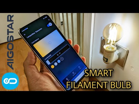 AIGOSTAR - Smart Filament Bulb ( Google Home / Alexa )