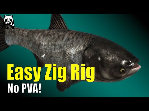 Russian Fishing 4 - Achtuba - The Zig Rig put to the test! Even sturgeon go for the Zig... #rf4