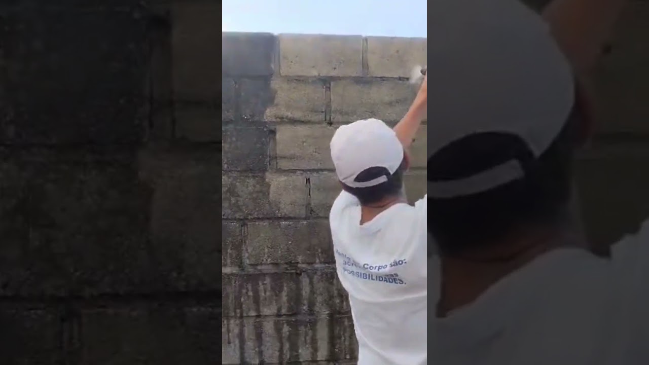 Limpeza de Muros e Fachadas