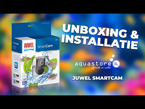 Watch Video on YouTube