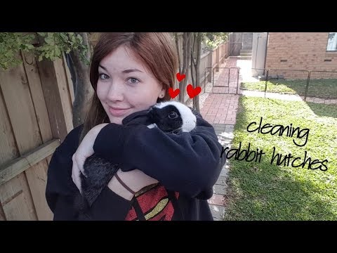 My Cleaning Rabbit Hutches Routine