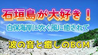 Deep Sleep & Stress Relief 🌙 心が整うリラックス瞑想音楽