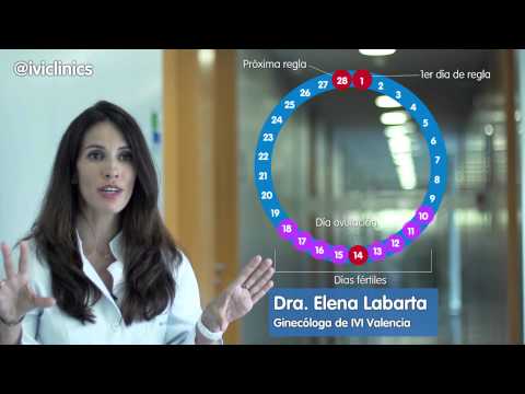 IVI - ¿Cómo puedes calcular tus días fértiles?