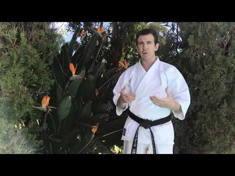 CSUN - Martial Arts Classes (Tae Kwon Do and Karate) - Spring 2020 Update from Sensei Paul Gale