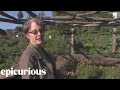 Alice Waters Gives A Tour Of The Edible Schoolyard