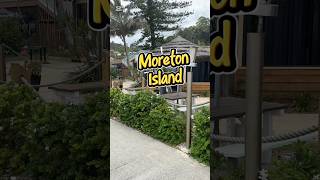 Moreton Island #cruise #cruisetour #travelvlog #travel #carnivalcruise