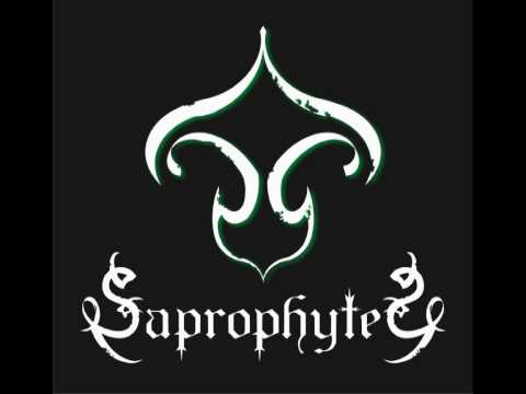 Saprophytes - Altar Boy