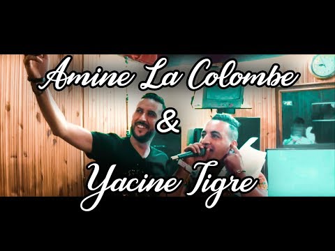 Yacine Tigre 2018 Mahada Mahada avec Amine La Colombe ماهاذا ماهاذا