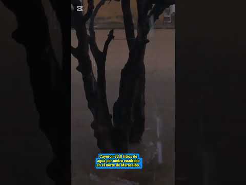 Lluvias causan desbordamiento parcial de la cañada Caribe a la altura de Mara Norte 3. #mcbo #zulia