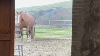 Não se apresse tanto 