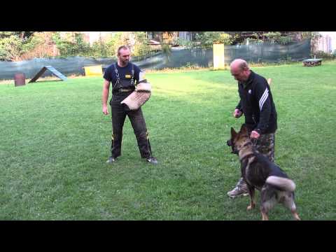 Lex Z větrného vrchu