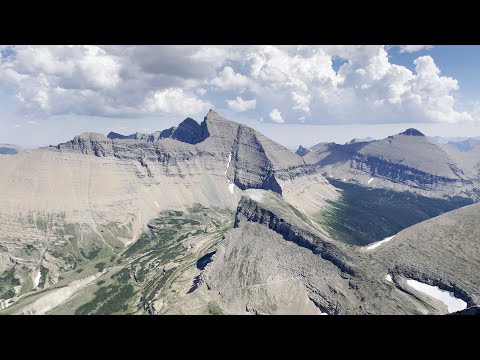 Reverse Garden Wall Trifecta 2022