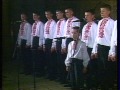 Гей шуми, великий луже Українська пісня Ukrainian song music 