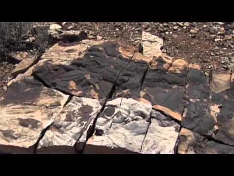 Miracle Planet : Snowball Earth