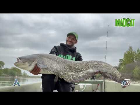 ANGOLI 12/6/2023: CONCERTO BENEFICO E L'UOMO DEI RECORD PER UN PESCE SILURO DA 3 METRI