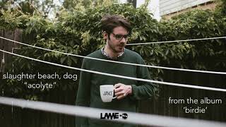 Cover art for Acolyte