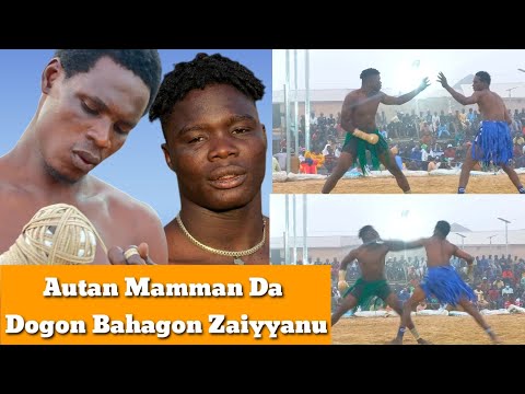 Autan Mamman Da Dogon Bahagon Zaiyyanu Sunyi Mugun Dambe a kano yau laraba 14/1/2026