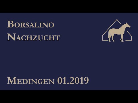 Borsalino Nachkommen