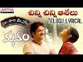 Chinni Chinni Ashalu Song With Telugu Lyrics మా పాట మీ నోట Naga Chaitanya Samant