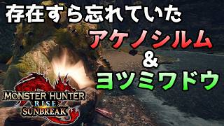 【MHRise】暑い夏の日…アケノシルムとヨツミワドウと操虫棍！モンスターハンターライズ