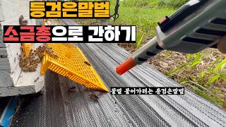 1년만에 말벌에 쏘인 양봉업자, 벌레잡는 소금총으로 말벌한테 복수하기