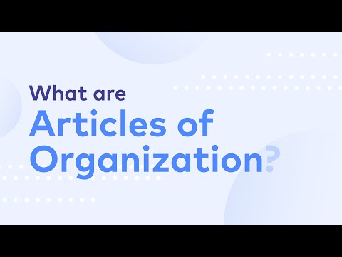 YouTube video about What’s included in the articles of organization