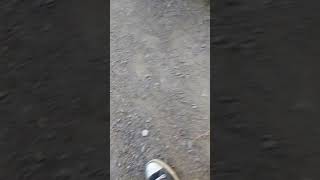 Nicole foot idea gets ran over #live