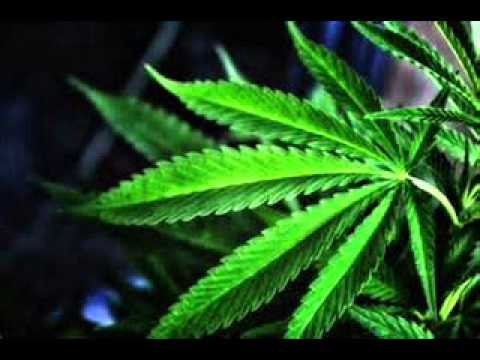 Stevie Hyper D 5 Years Gone The Memory Lives On