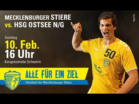 Mecklenburger Stiere vs. HSG Ostsee N/G