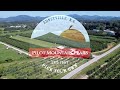 Scenic Aerial Drone Footage of Pilot Mountain Pears Farm | North Carolina's Finest Pear Orchard