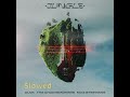 Alok The Chainsmokers Mae Stephens Jungle Slowed