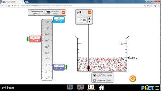 pH scale (PhET) simulation Kw and calculations