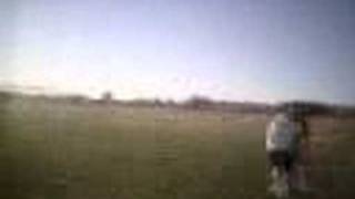 tania whoopin ass video