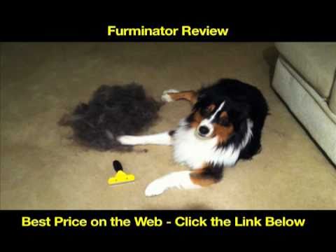 FURminator Review - Deshedding Tool - Best Dog...