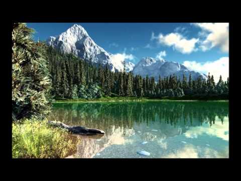 Fratele Ioan Suciu - Noua ordine mondiala