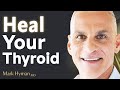 The Functional Medicine Approach To Hypothyroidism And Hashimoto’s Disease