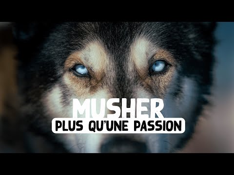 La vie de Musher - Randogs