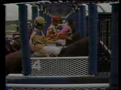 1979 Woodward Stakes- Affirmed