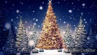 Carola - Stilla natt