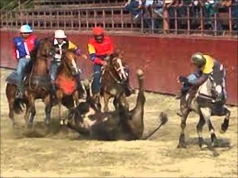 Cheo Hernandez Prisco Voy A Volver A Colear