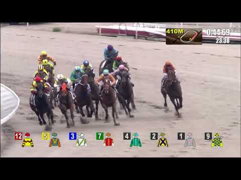 15/5/2022 (667) Wisdom Patch - Matthew Chadwick