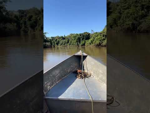 Cabelos ao  vento nesse paraíso abençoado 🙏🏻 🎣 #matogrossodosul #peixes #amopescar #aquidauana