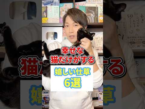 園芸 猫の世話をする